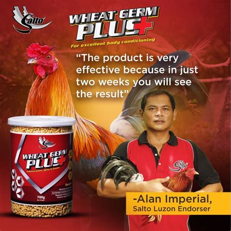 PINTAKASI Salto Wheat Germ Plus 700g for Gamefowl Rooster : .